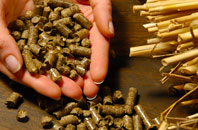free Woolage Green biomass boiler quotes